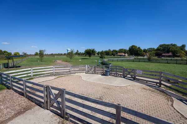 Wiggly Field Dog Park